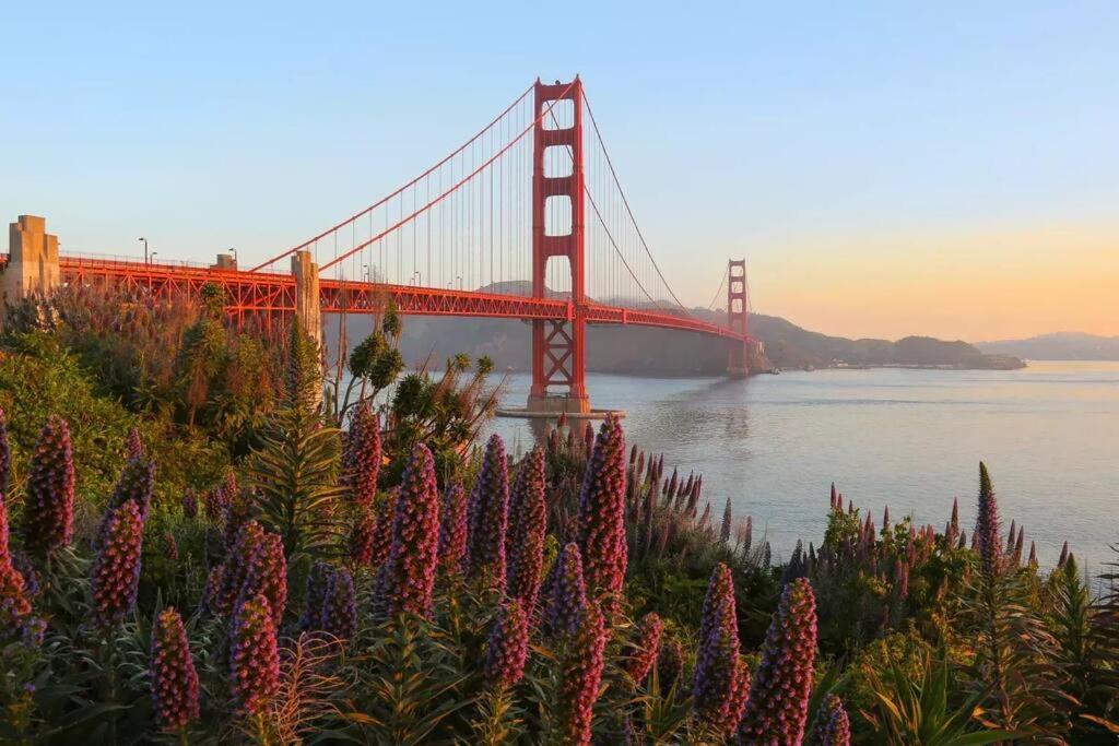 Modern Lux , 4Br 3Ba, 30 Or More Days Only South San Francisco Exteriör bild